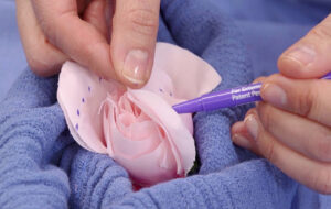 جراحی لابیا پلاستی یا زیبایی واژن